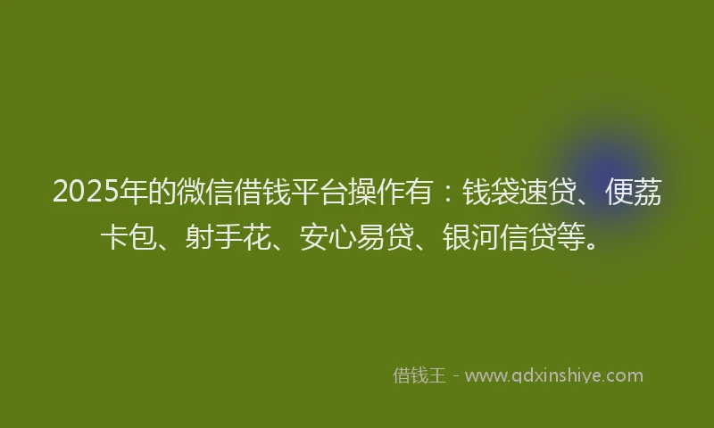 2025年的微信借钱平台操作有：钱袋速贷、便荔卡包、射手花、安心易贷、银河信贷等。