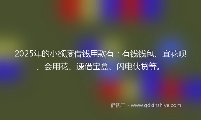 2025年的小额度借钱用款有：有钱钱包、宜花呗、会用花、速借宝盒、闪电侠贷等。