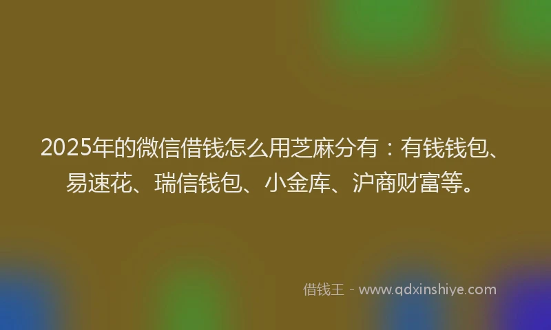2025年的微信借钱怎么用芝麻分有：有钱钱包、易速花、瑞信钱包、小金库、沪商财富等。