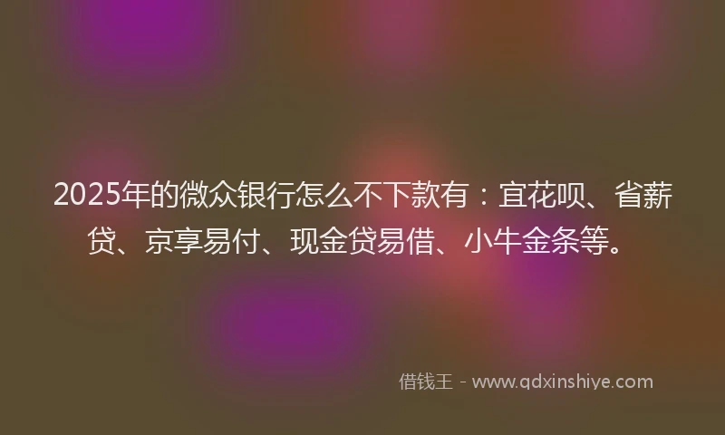 2025年的微众银行怎么不下款有：宜花呗、省薪贷、京享易付、现金贷易借、小牛金条等。