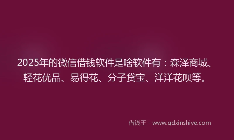 2025年的微信借钱软件是啥软件有：森泽商城、轻花优品、易得花、分子贷宝、洋洋花呗等。