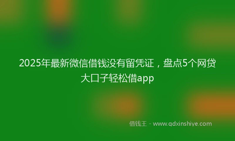 2025年最新微信借钱没有留凭证，盘点5个网贷大口子轻松借app