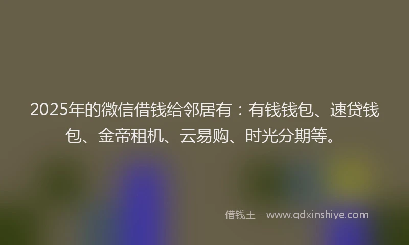 2025年的微信借钱给邻居有：有钱钱包、速贷钱包、金帝租机、云易购、时光分期等。