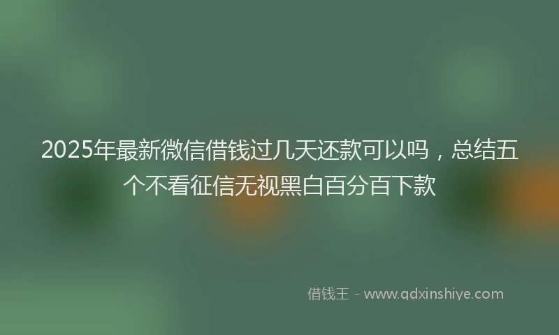 2025年最新微信借钱过几天还款可以吗，总结五个不看征信无视黑白百分百下款