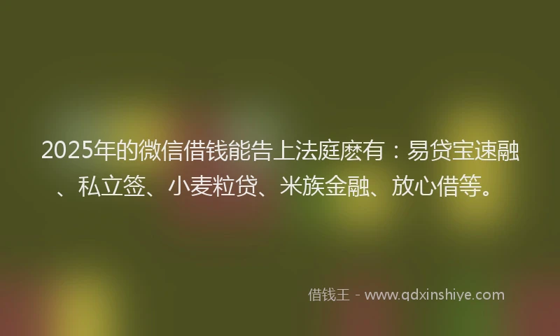 2025年的微信借钱能告上法庭麽有：易贷宝速融、私立签、小麦粒贷、米族金融、放心借等。