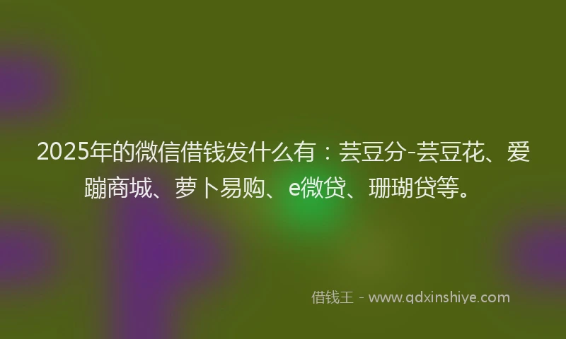 2025年的微信借钱发什么有：芸豆分-芸豆花、爱蹦商城、萝卜易购、e微贷、珊瑚贷等。