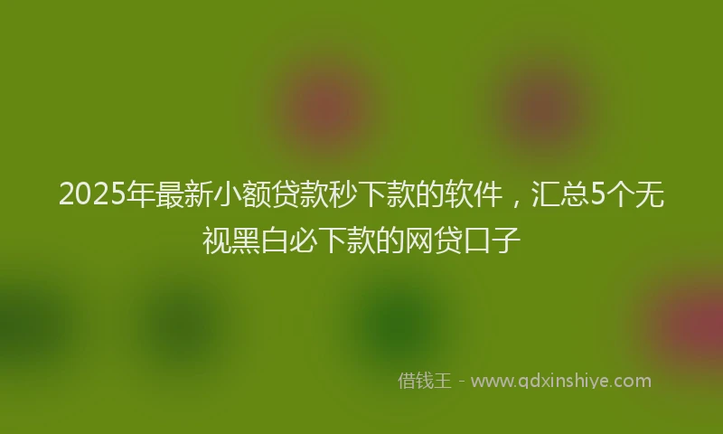 2025年最新小额贷款秒下款的软件，汇总5个无视黑白必下款的网贷口子