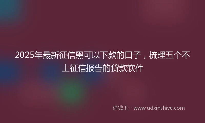 2025年最新征信黑可以下款的口子，梳理五个不上征信报告的贷款软件