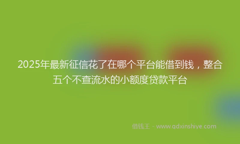 2025年最新征信花了在哪个平台能借到钱，整合五个不查流水的小额度贷款平台