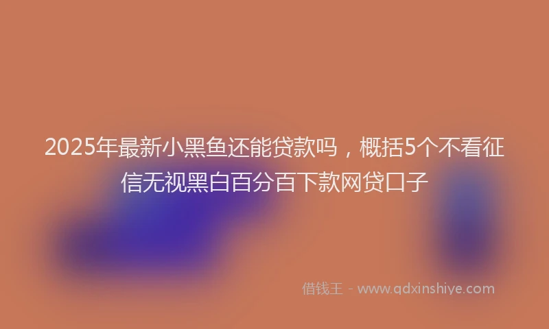 2025年最新小黑鱼还能贷款吗，概括5个不看征信无视黑白百分百下款网贷口子