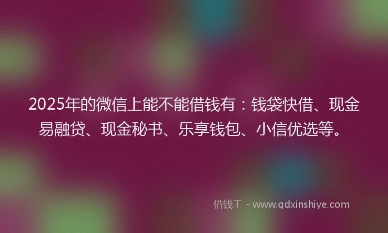 2025年的微信上能不能借钱有：钱袋快借、现金易融贷、现金秘书、乐享钱包、小信优选等。