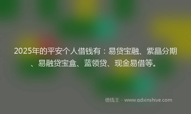 2025年的平安个人借钱有：易贷宝融、紫晶分期、易融贷宝盒、蓝领贷、现金易借等。