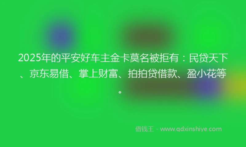 2025年的平安好车主金卡莫名被拒有：民贷天下、京东易借、掌上财富、拍拍贷借款、盈小花等。