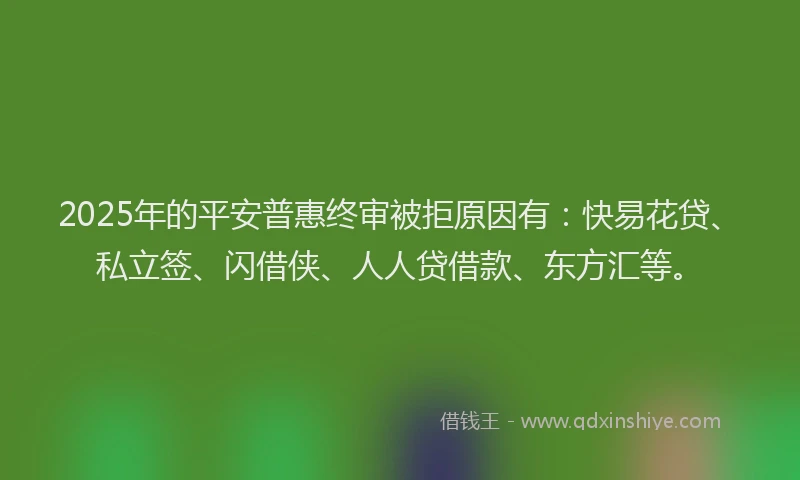 2025年的平安普惠终审被拒原因有：快易花贷、私立签、闪借侠、人人贷借款、东方汇等。