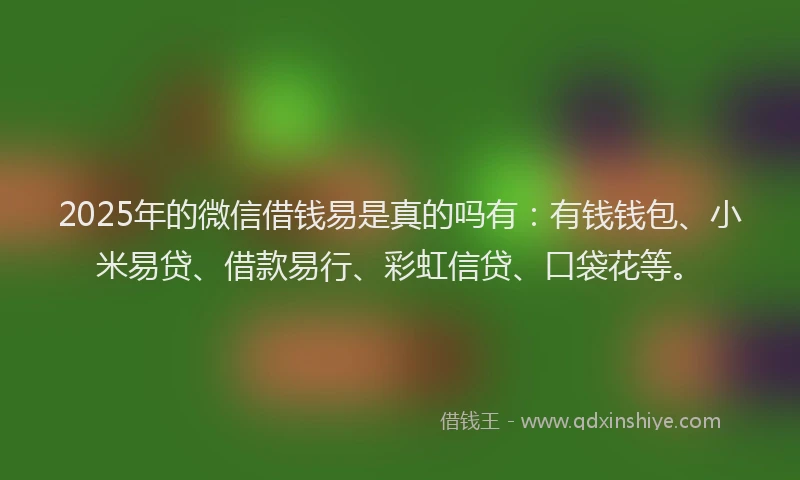 2025年的微信借钱易是真的吗有：有钱钱包、小米易贷、借款易行、彩虹信贷、口袋花等。