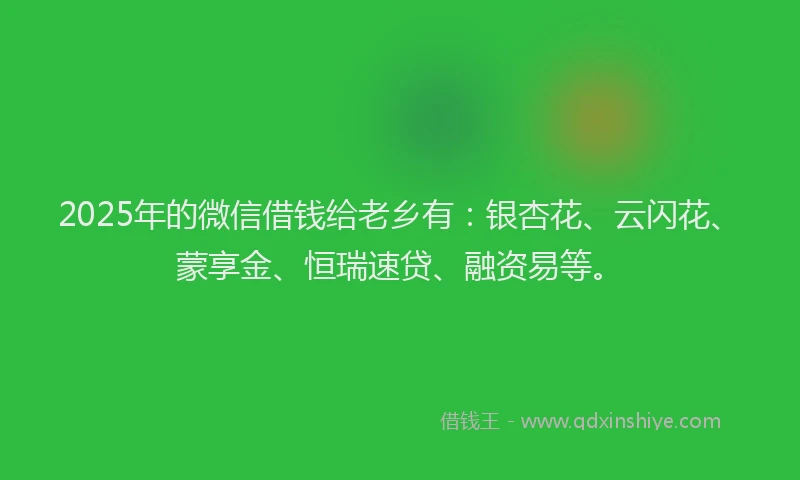 2025年的微信借钱给老乡有：银杏花、云闪花、蒙享金、恒瑞速贷、融资易等。
