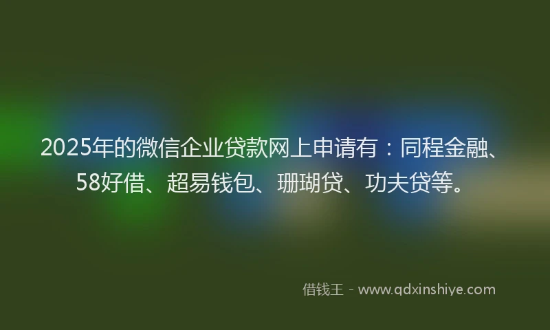2025年的微信企业贷款网上申请有：同程金融、58好借、超易钱包、珊瑚贷、功夫贷等。
