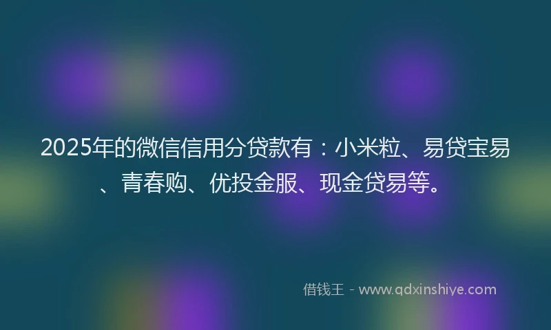 2025年的微信信用分贷款有：小米粒、易贷宝易、青春购、优投金服、现金贷易等。