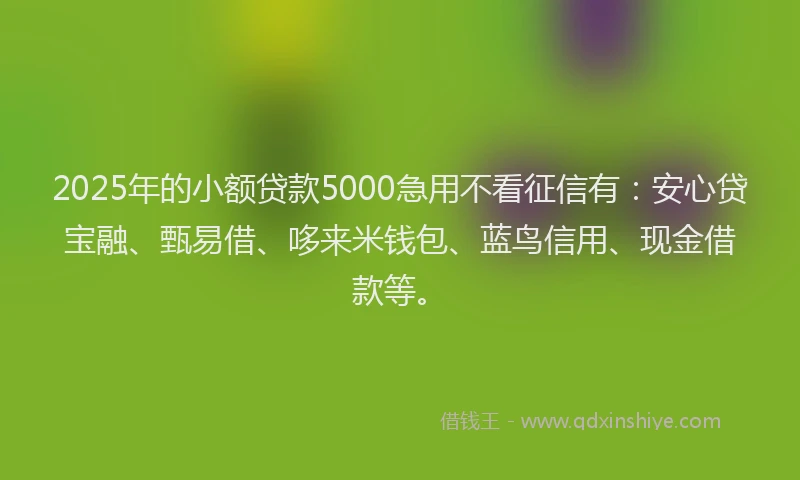 2025年的小额贷款5000急用不看征信有：安心贷宝融、甄易借、哆来米钱包、蓝鸟信用、现金借款等。