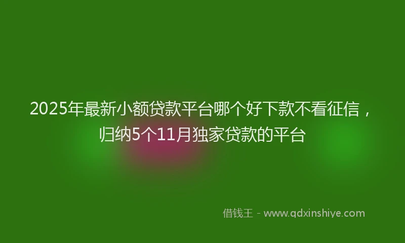 2025年最新小额贷款平台哪个好下款不看征信，归纳5个11月独家贷款的平台