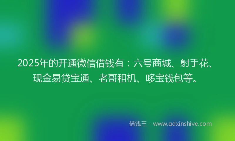 2025年的开通微信借钱有：六号商城、射手花、现金易贷宝通、老哥租机、哆宝钱包等。