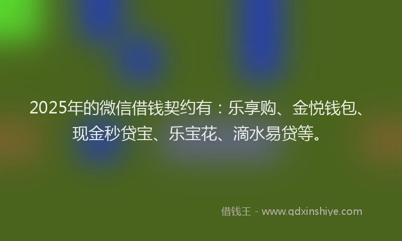 2025年的微信借钱契约有：乐享购、金悦钱包、现金秒贷宝、乐宝花、滴水易贷等。