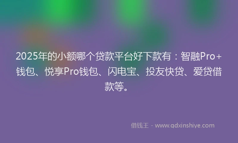 2025年的小额哪个贷款平台好下款有：智融Pro+钱包、悦享Pro钱包、闪电宝、投友快贷、爱贷借款等。