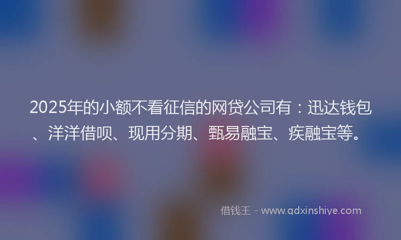 2025年的小额不看征信的网贷公司有：迅达钱包、洋洋借呗、现用分期、甄易融宝、疾融宝等。