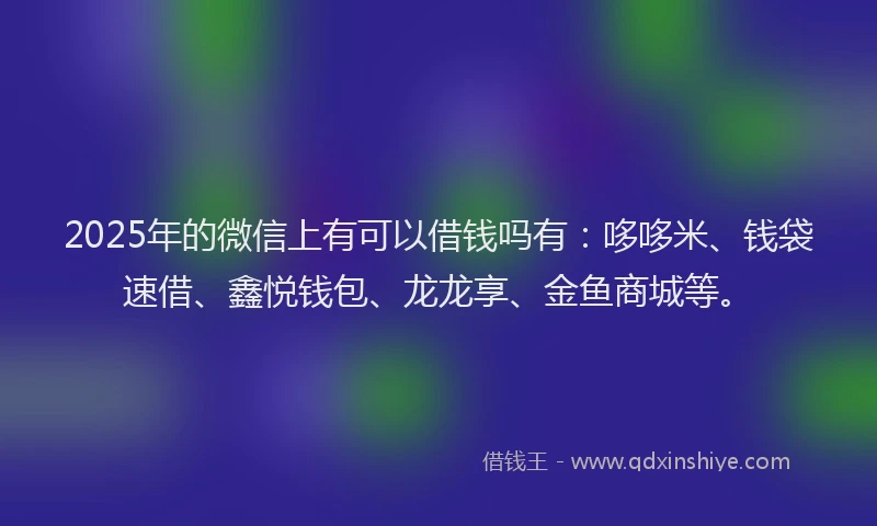 2025年的微信上有可以借钱吗有：哆哆米、钱袋速借、鑫悦钱包、龙龙享、金鱼商城等。