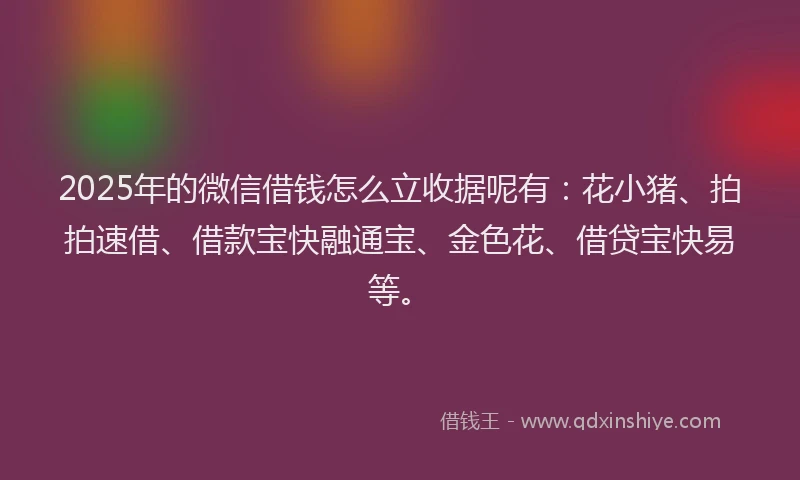 2025年的微信借钱怎么立收据呢有：花小猪、拍拍速借、借款宝快融通宝、金色花、借贷宝快易等。