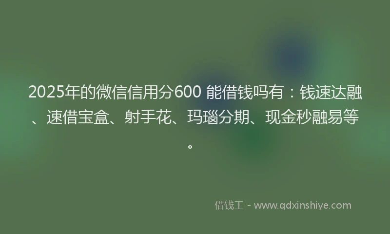 2025年的微信信用分600 能借钱吗有：钱速达融、速借宝盒、射手花、玛瑙分期、现金秒融易等。