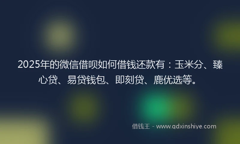2025年的微信借呗如何借钱还款有：玉米分、臻心贷、易贷钱包、即刻贷、鹿优选等。