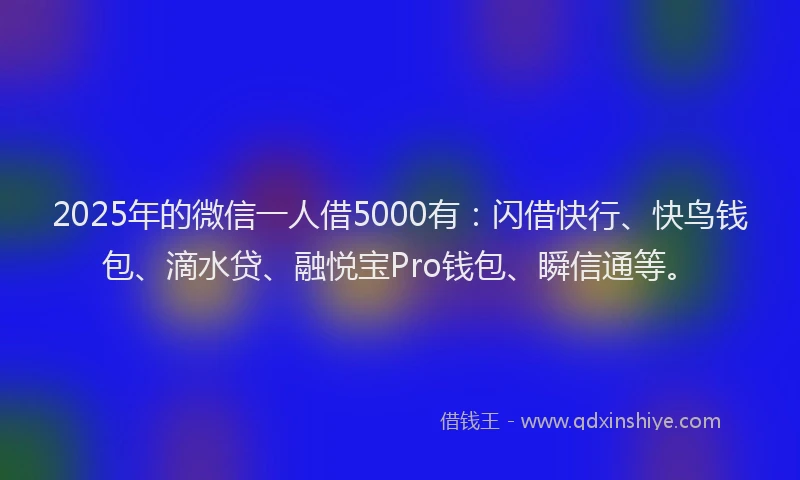2025年的微信一人借5000有：闪借快行、快鸟钱包、滴水贷、融悦宝Pro钱包、瞬信通等。