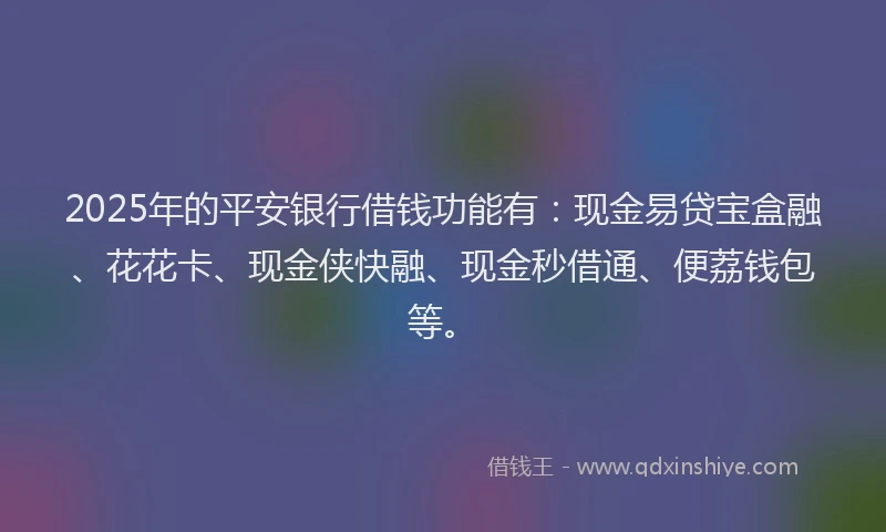 2025年的平安银行借钱功能有：现金易贷宝盒融、花花卡、现金侠快融、现金秒借通、便荔钱包等。