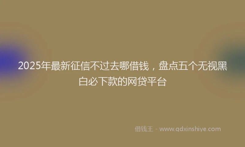 2025年最新征信不过去哪借钱，盘点五个无视黑白必下款的网贷平台