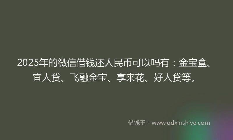 2025年的微信借钱还人民币可以吗有：金宝盒、宜人贷、飞融金宝、享来花、好人贷等。
