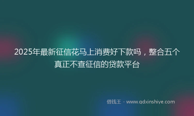 2025年最新征信花马上消费好下款吗，整合五个真正不查征信的贷款平台