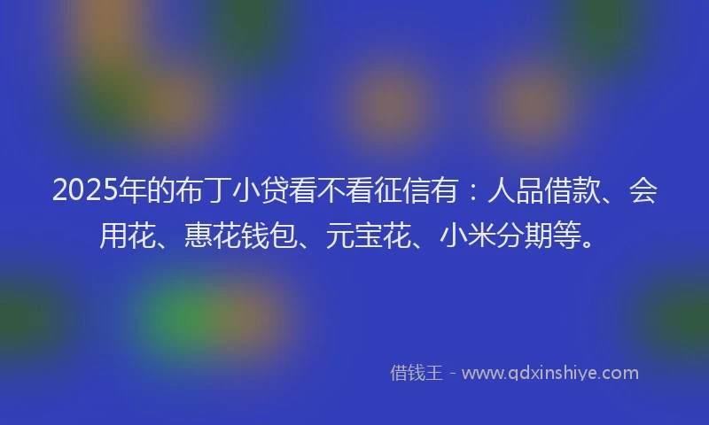 2025年的布丁小贷看不看征信有：人品借款、会用花、惠花钱包、元宝花、小米分期等。