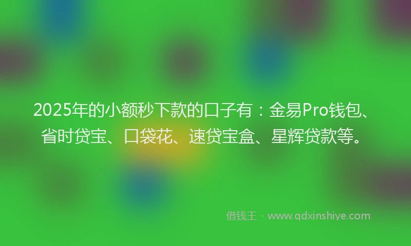 2025年的小额秒下款的口子有：金易Pro钱包、省时贷宝、口袋花、速贷宝盒、星辉贷款等。