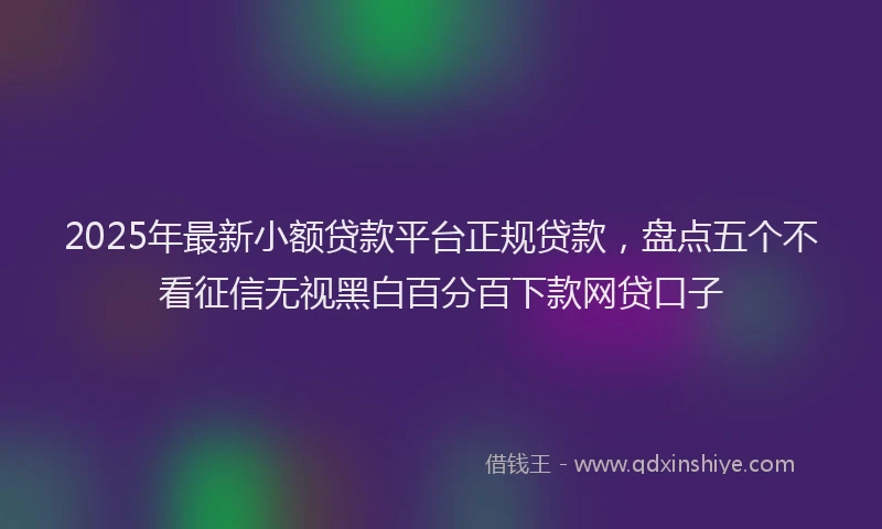 2025年最新小额贷款平台正规贷款，盘点五个不看征信无视黑白百分百下款网贷口子