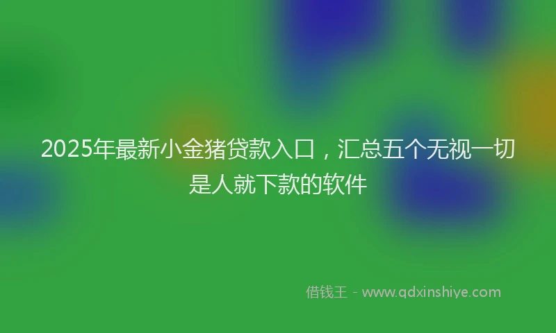 2025年最新小金猪贷款入口，汇总五个无视一切是人就下款的软件