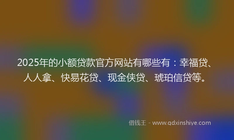 2025年的小额贷款官方网站有哪些有：幸福贷、人人拿、快易花贷、现金侠贷、琥珀信贷等。