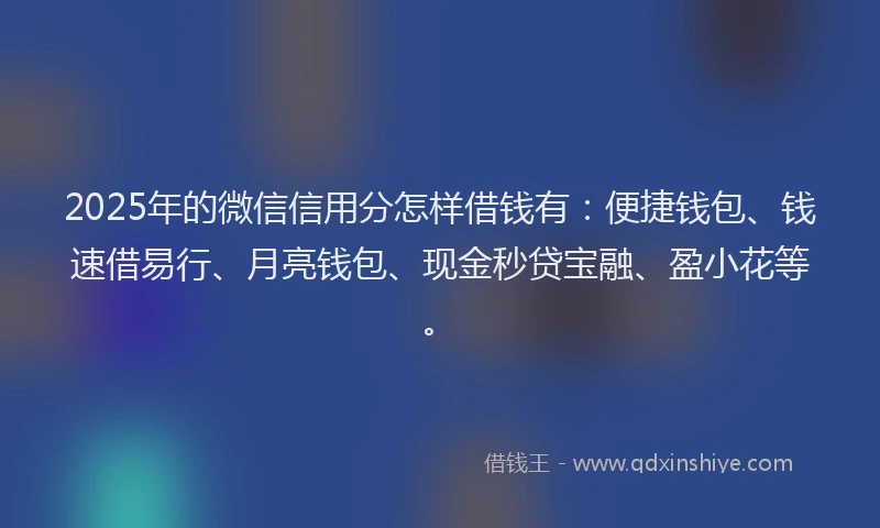 2025年的微信信用分怎样借钱有：便捷钱包、钱速借易行、月亮钱包、现金秒贷宝融、盈小花等。