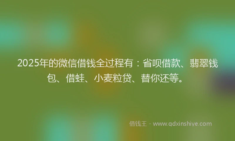 2025年的微信借钱全过程有：省呗借款、翡翠钱包、借蛙、小麦粒贷、替你还等。