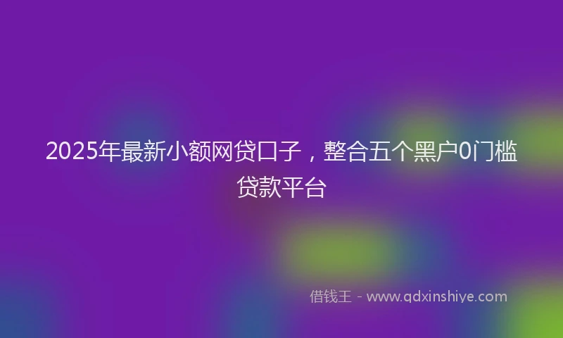 2025年最新小额网贷口子，整合五个黑户0门槛贷款平台