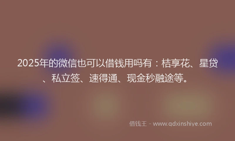 2025年的微信也可以借钱用吗有：桔享花、星贷、私立签、速得通、现金秒融途等。