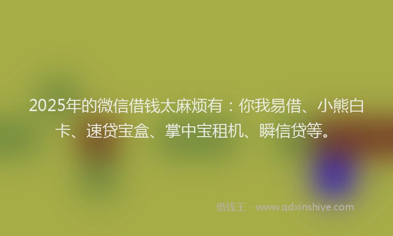 2025年的微信借钱太麻烦有：你我易借、小熊白卡、速贷宝盒、掌中宝租机、瞬信贷等。