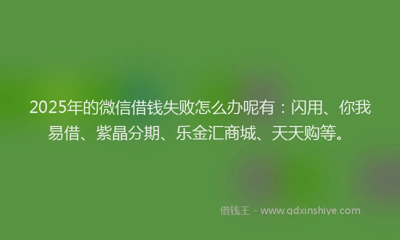 2025年的微信借钱失败怎么办呢有：闪用、你我易借、紫晶分期、乐金汇商城、天天购等。