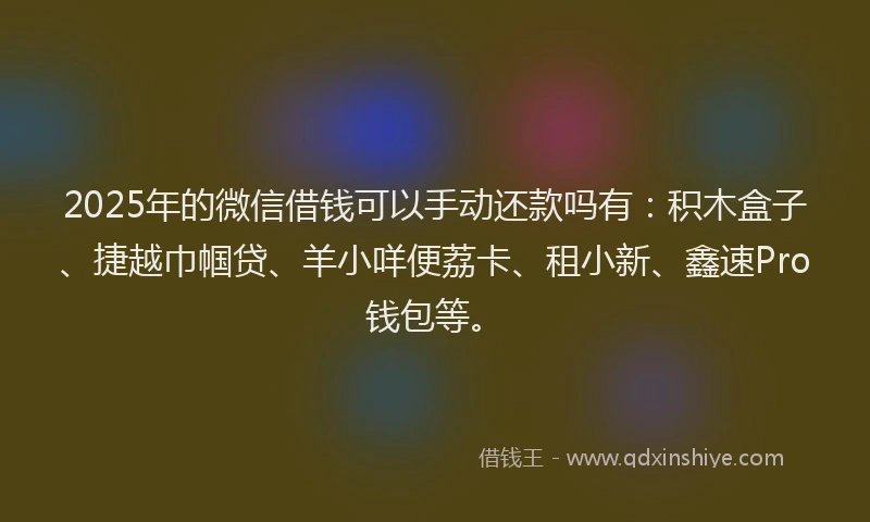 2025年的微信借钱可以手动还款吗有：积木盒子、捷越巾帼贷、羊小咩便荔卡、租小新、鑫速Pro钱包等。
