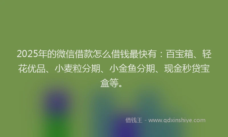 2025年的微信借款怎么借钱最快有：百宝箱、轻花优品、小麦粒分期、小金鱼分期、现金秒贷宝盒等。
